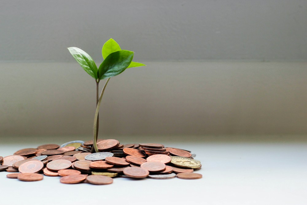 Savings growth — illustrative detail